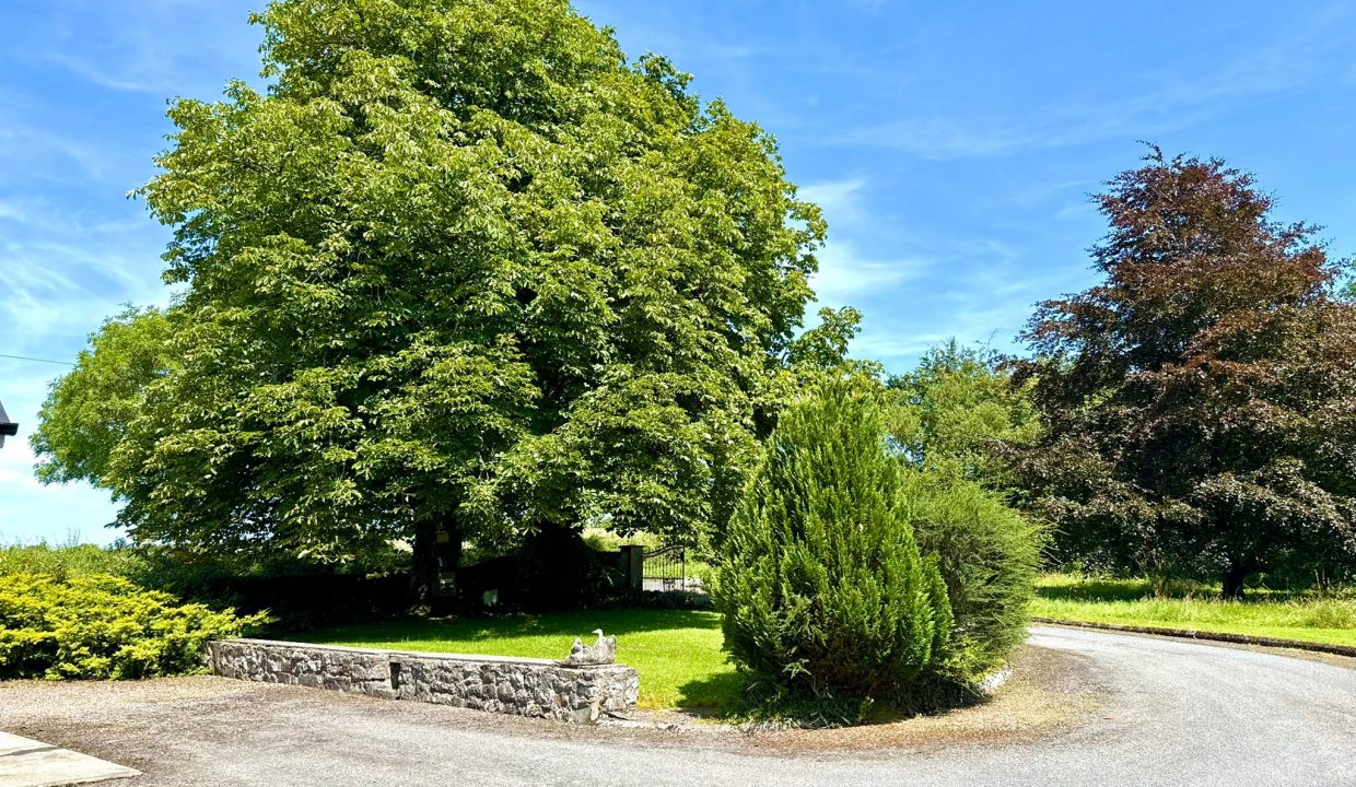 IMG-20250714-WA0178