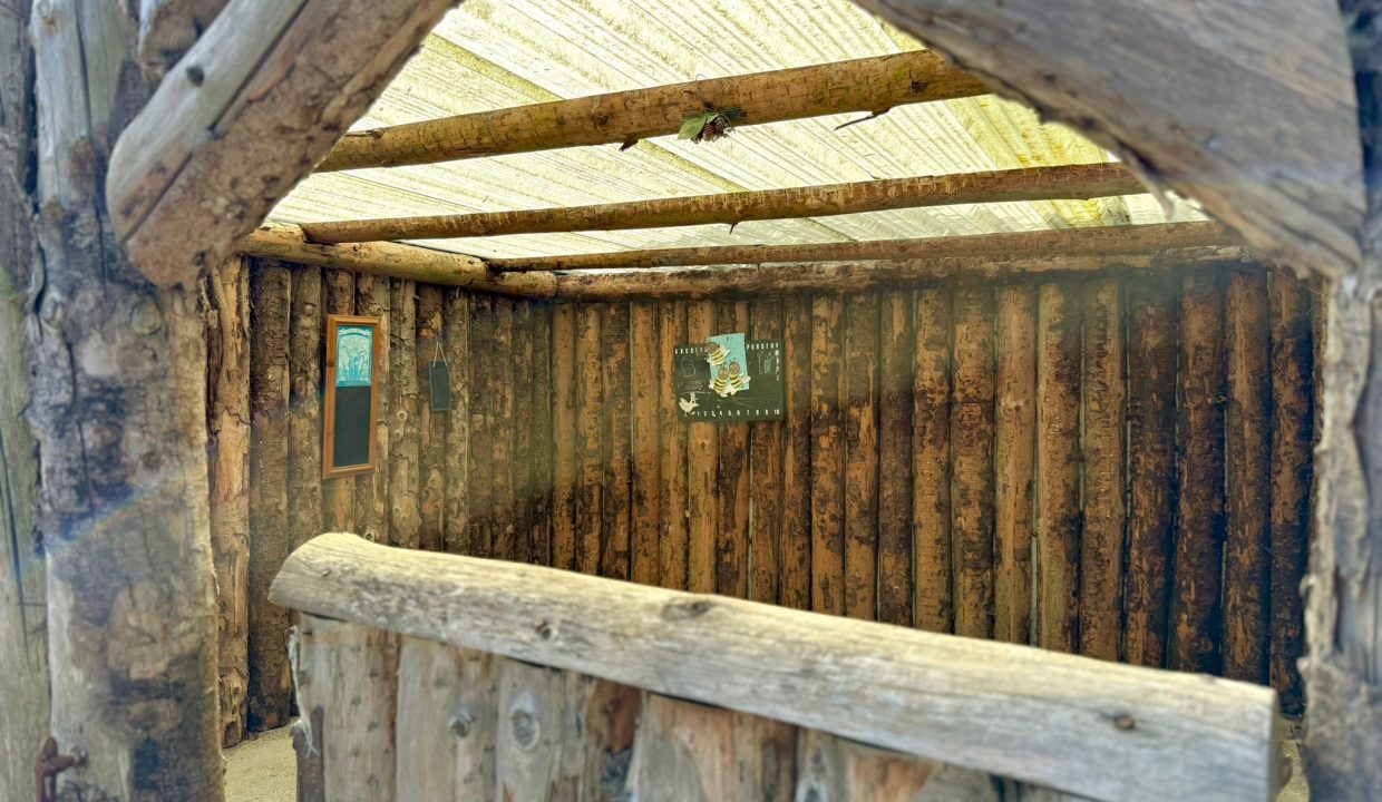 IMG-20250827-WA0035