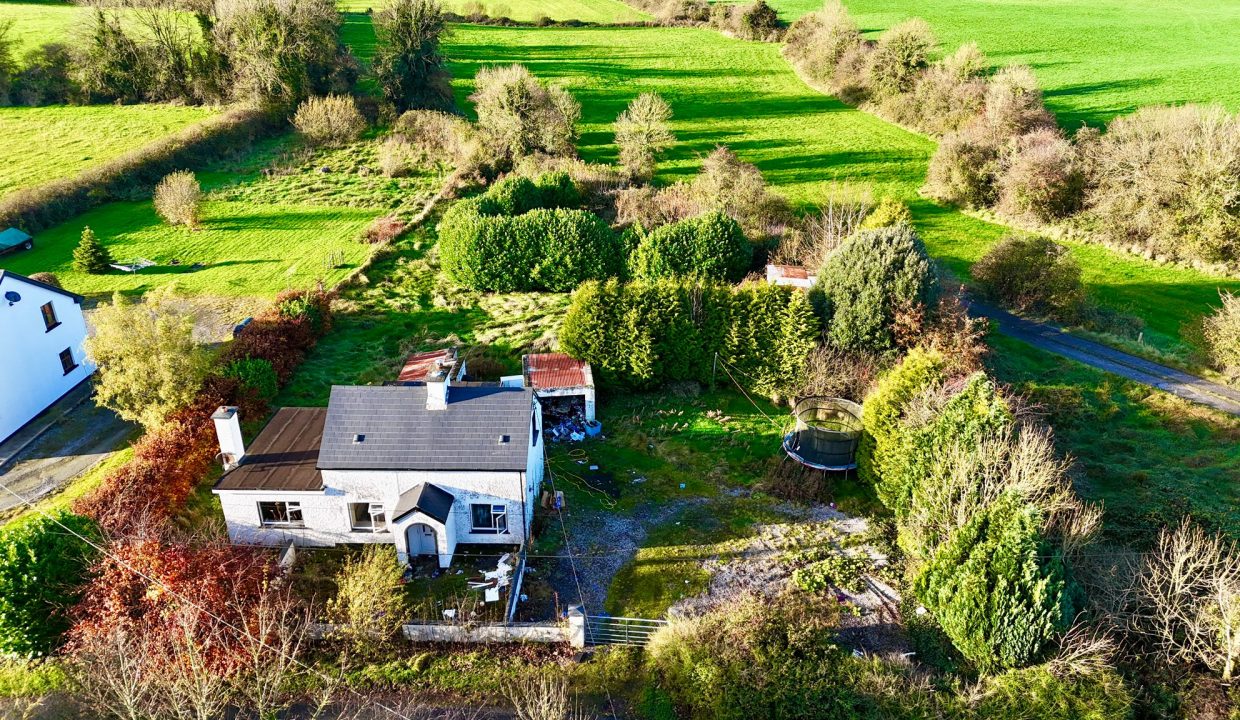 WhatsApp Image 2025-11-12 at 16.51.24