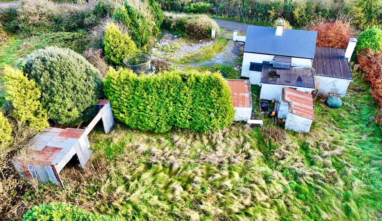 WhatsApp Image 2025-11-12 at 16.51.26 (7)