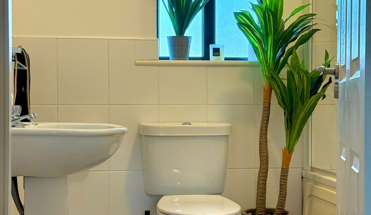 WhatsApp Image 2026-01-15 at 07.59.21