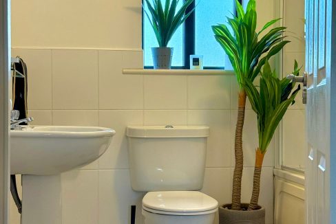 WhatsApp Image 2026-01-15 at 07.59.21