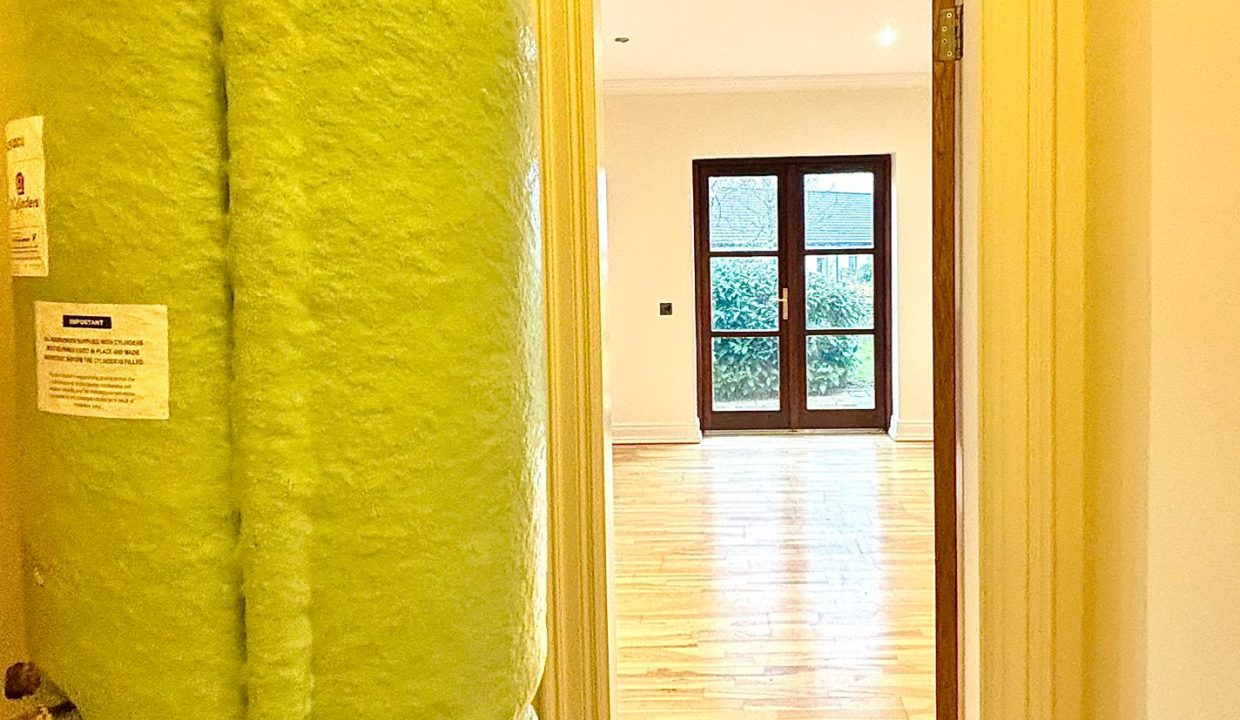 WhatsApp Image 2026-01-29 at 3.54.15 PM