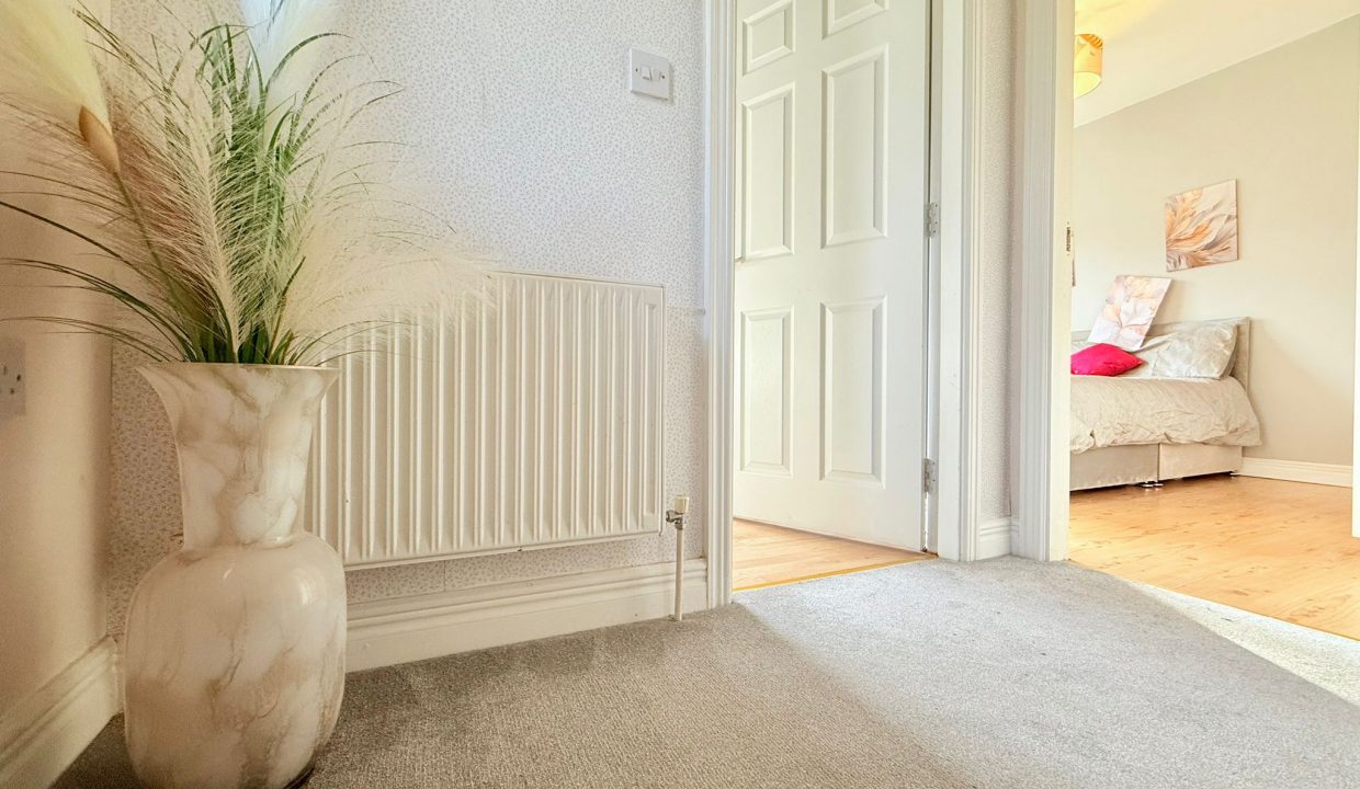 WhatsApp Image 2026-02-10 at 23.24.39 (3)