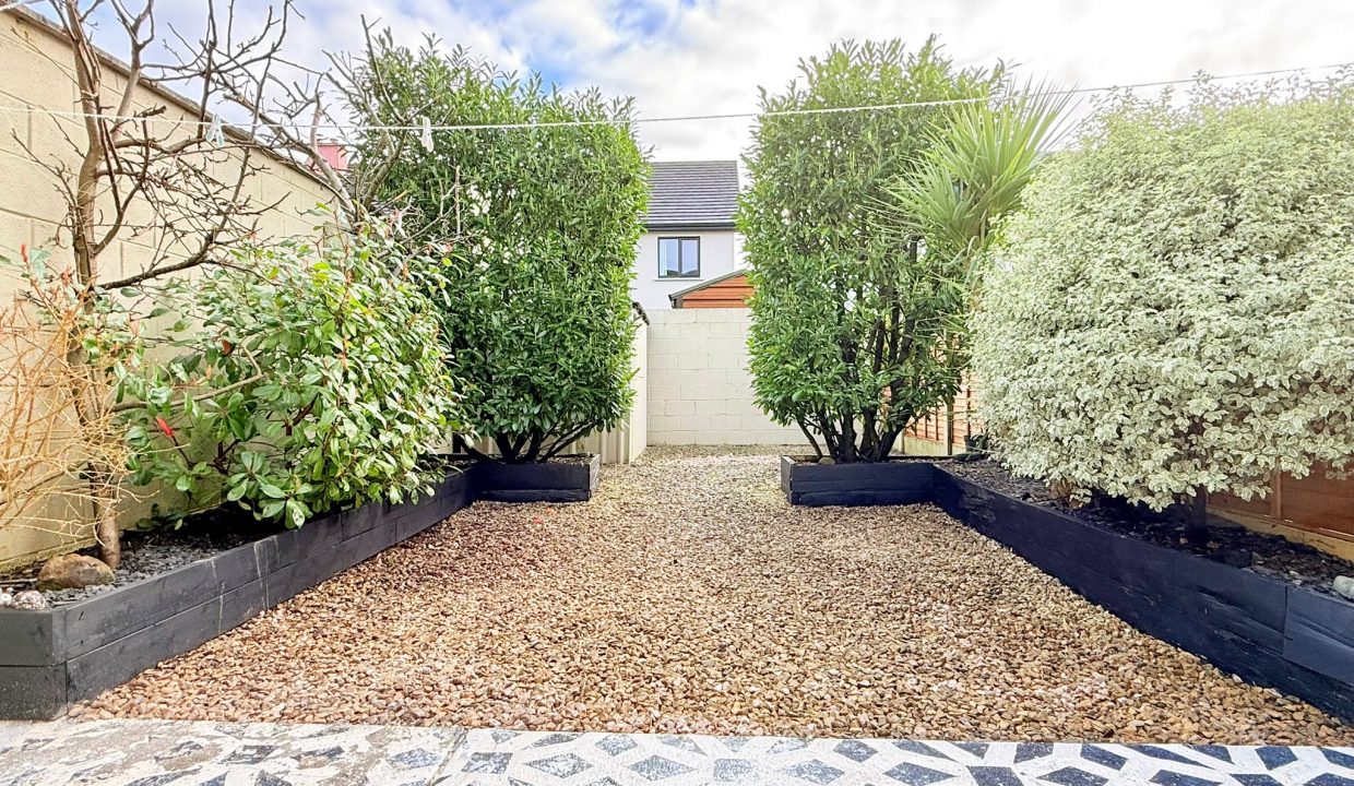 WhatsApp Image 2026-02-10 at 23.24.41 (1)