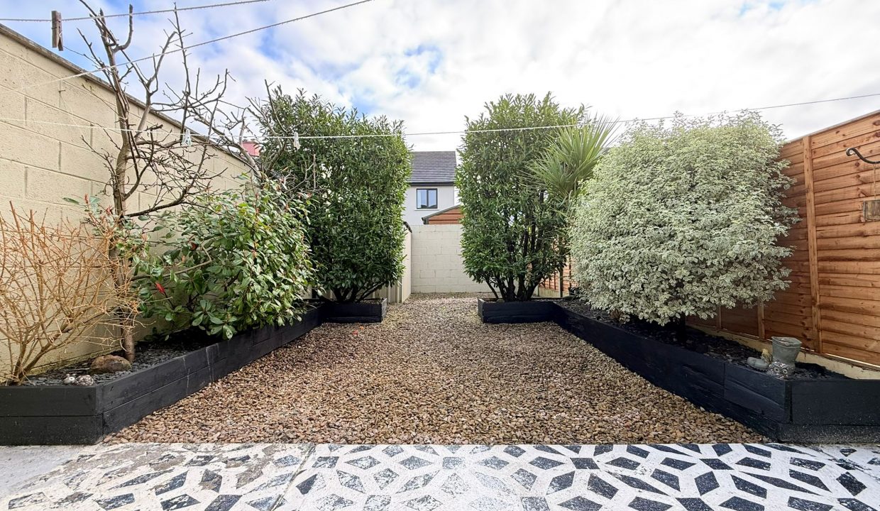 WhatsApp Image 2026-02-10 at 23.24.41