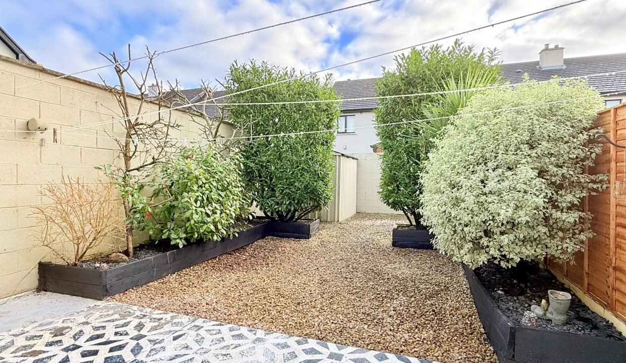 WhatsApp Image 2026-02-10 at 23.24.41 (2)