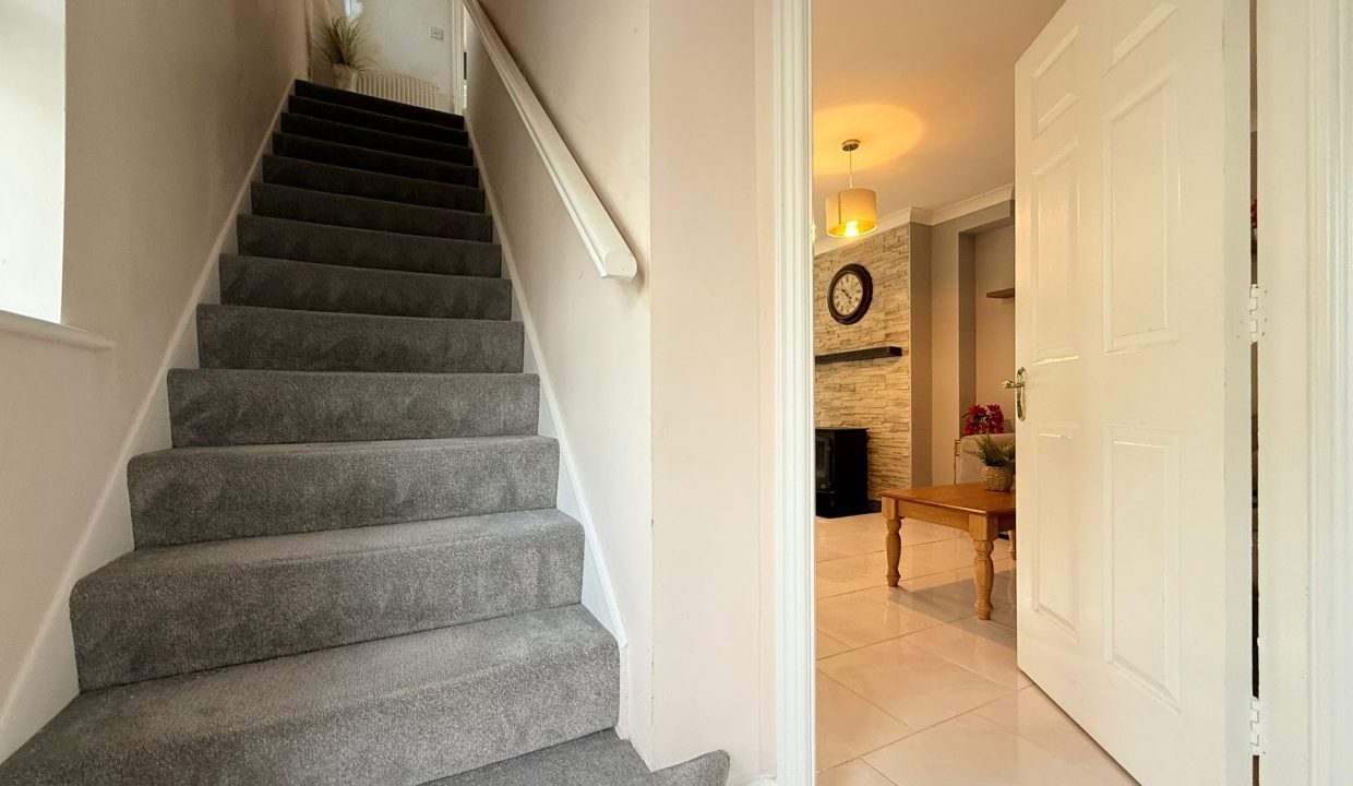 WhatsApp Image 2026-02-10 at 23.24.47 (3)