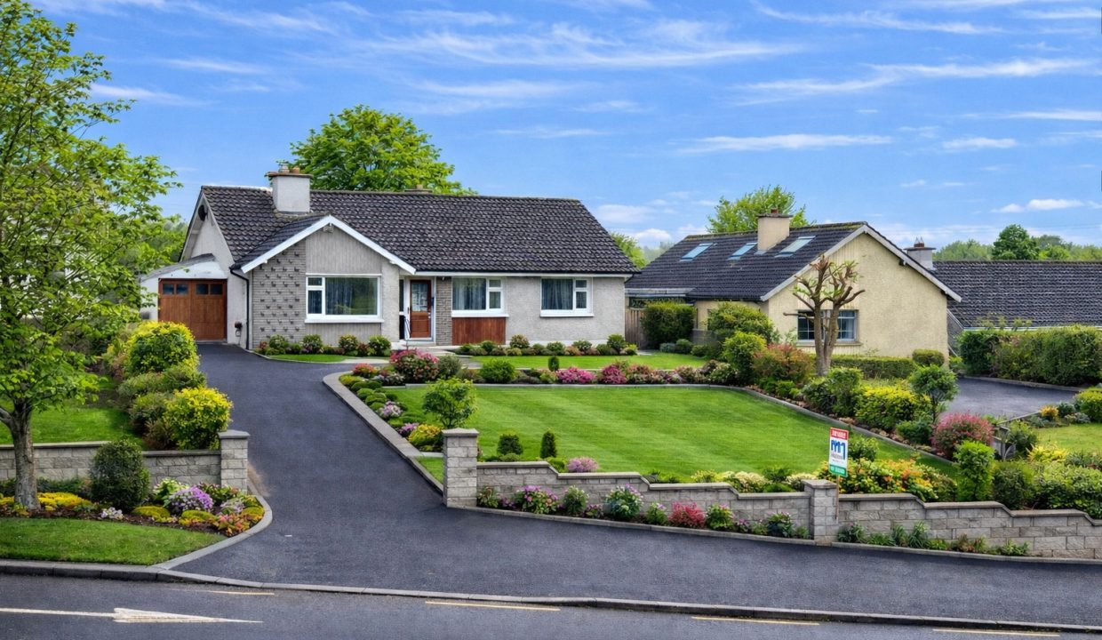 WhatsApp Image 2026-02-13 at 11.15.37