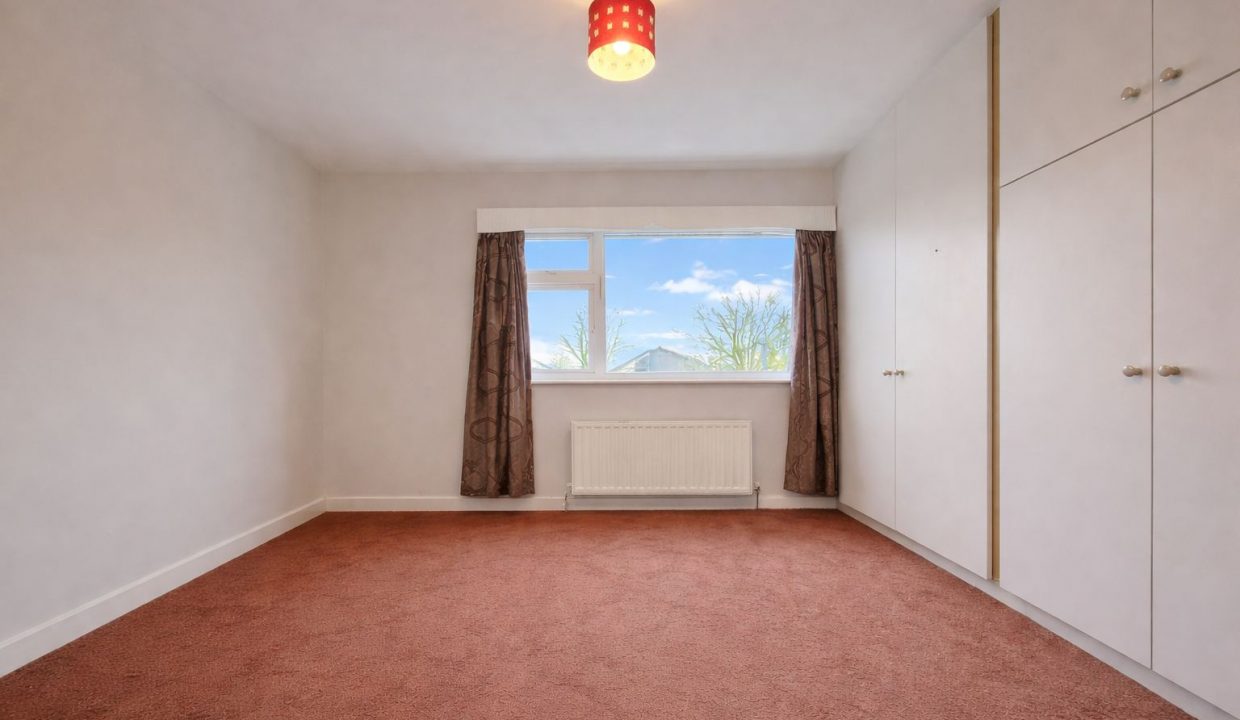 WhatsApp Image 2026-02-13 at 12.41.19 (1)