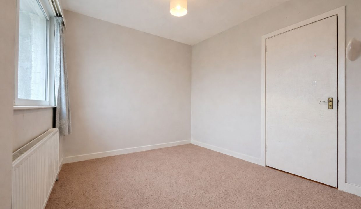 WhatsApp Image 2026-02-13 at 12.41.19