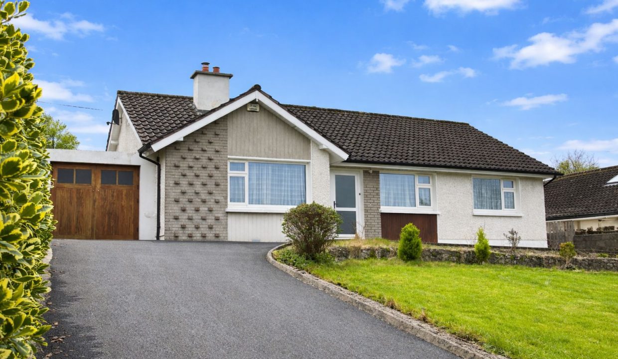 WhatsApp Image 2026-02-13 at 12.41.20 (1)