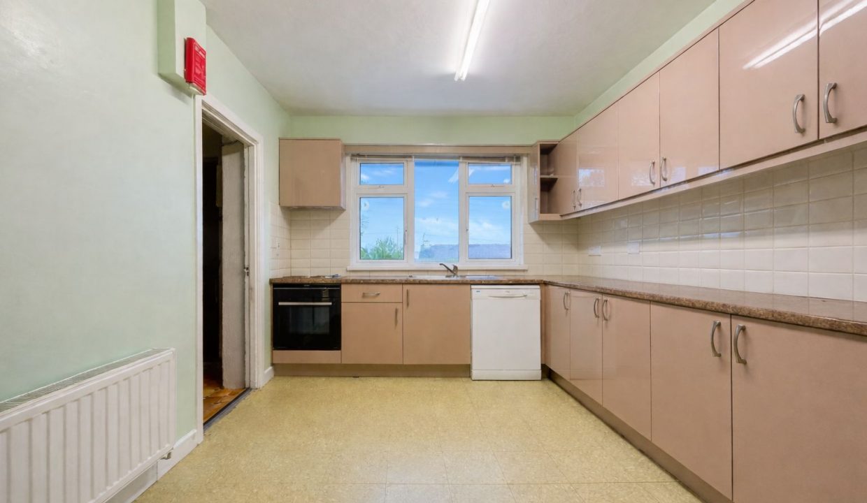 WhatsApp Image 2026-02-13 at 12.41.20