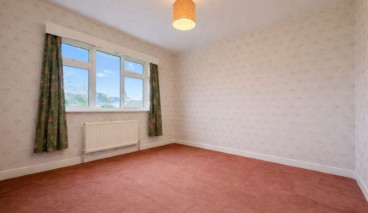 WhatsApp Image 2026-02-13 at 12.41.20 (2)