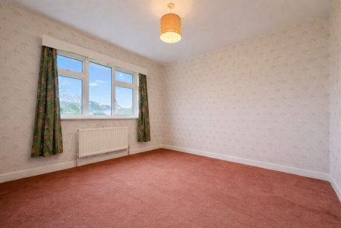 WhatsApp Image 2026-02-13 at 12.41.20 (2)