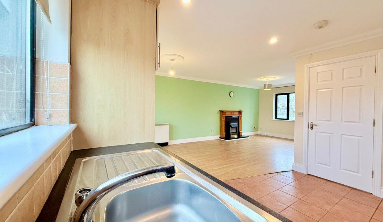 WhatsApp Image 2026-02-19 at 13.30.58 (1)