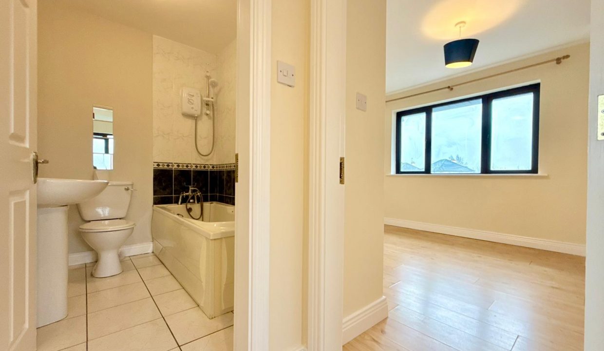 WhatsApp Image 2026-02-19 at 13.31.00