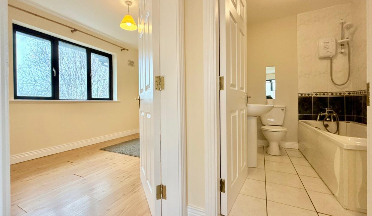 WhatsApp Image 2026-02-19 at 13.31.01