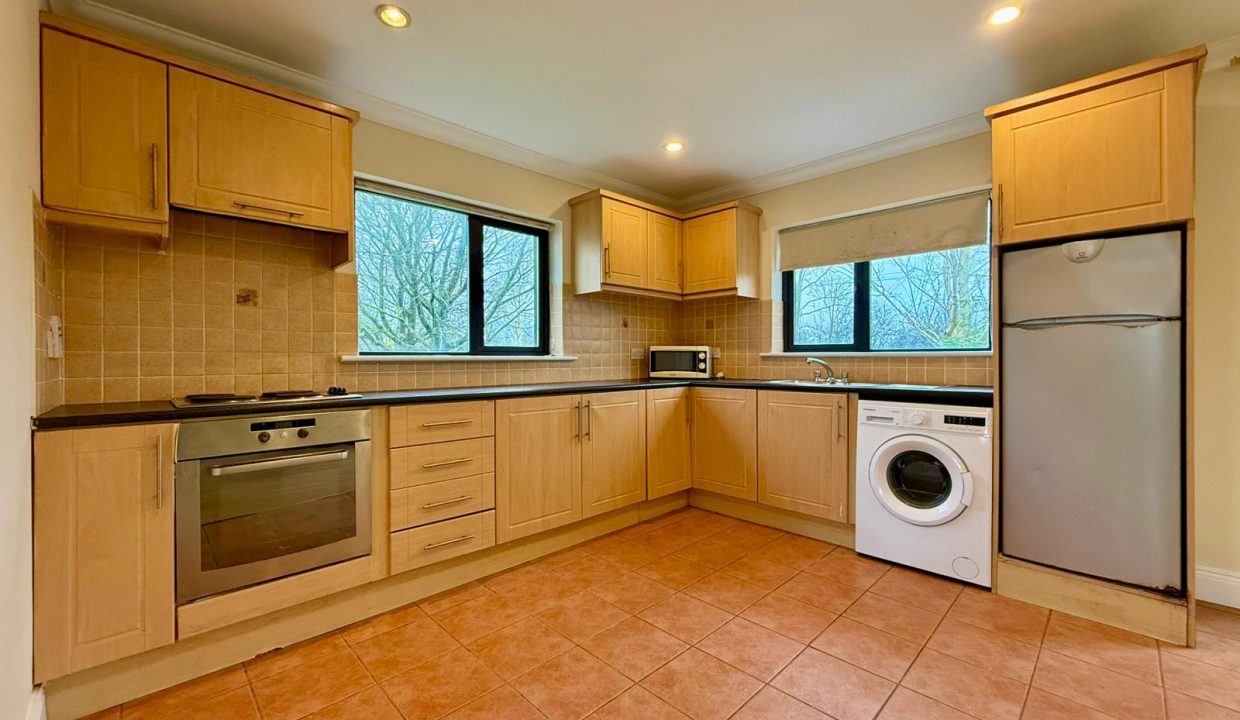 WhatsApp Image 2026-02-19 at 13.31.04