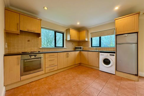 WhatsApp Image 2026-02-19 at 13.31.04